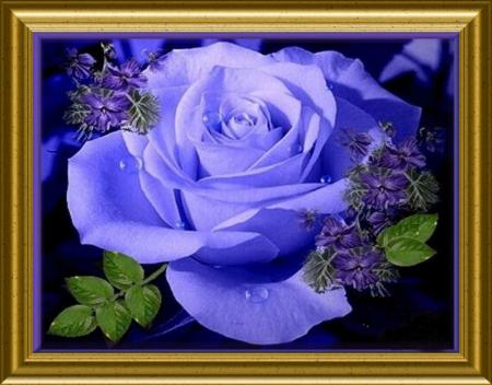 Pour toutes les mamans du monde.